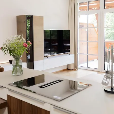 Dachstein Residenzen 公寓 巴特奥塞